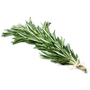 Romarin frais 100g - اكليل الجبل طازج 100 جرام
